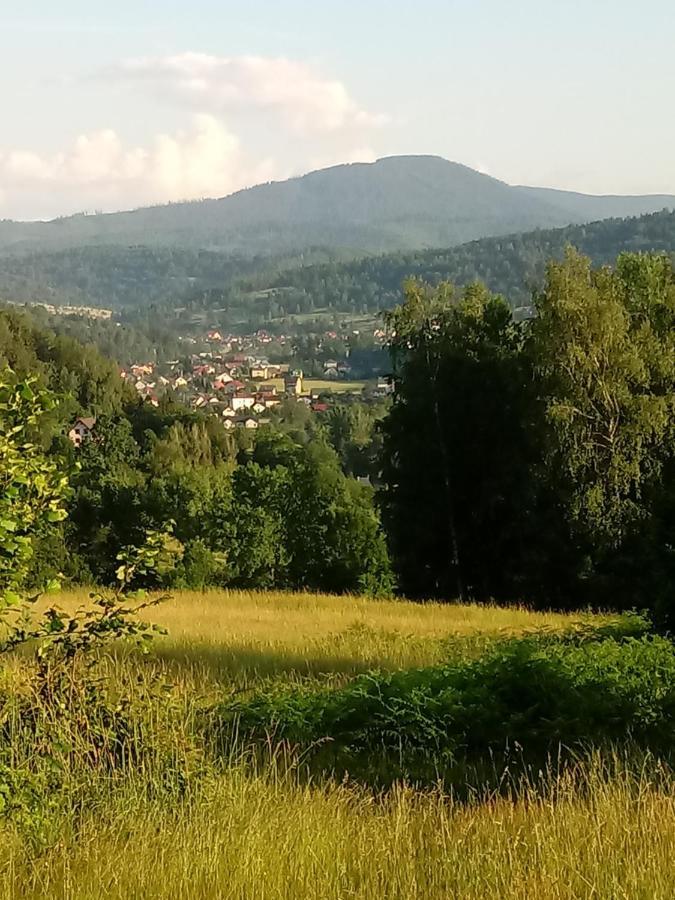 Pod Modrzewiami Appartement Milówka Buitenkant foto