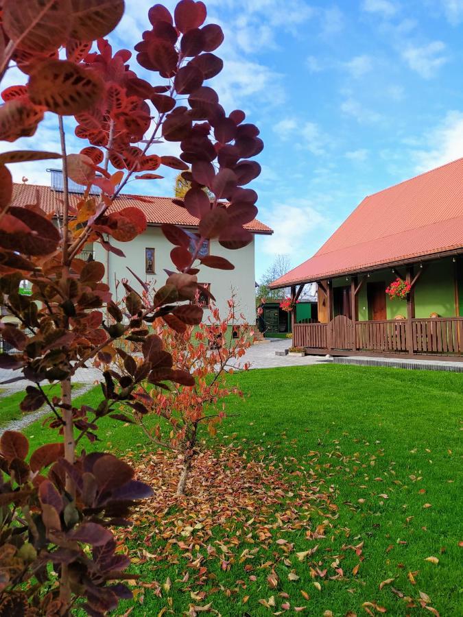 Pod Modrzewiami Appartement Milówka Buitenkant foto