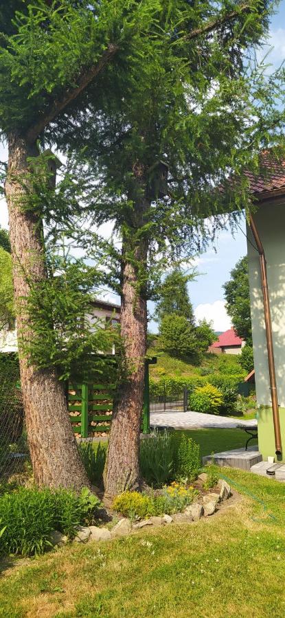 Pod Modrzewiami Appartement Milówka Buitenkant foto