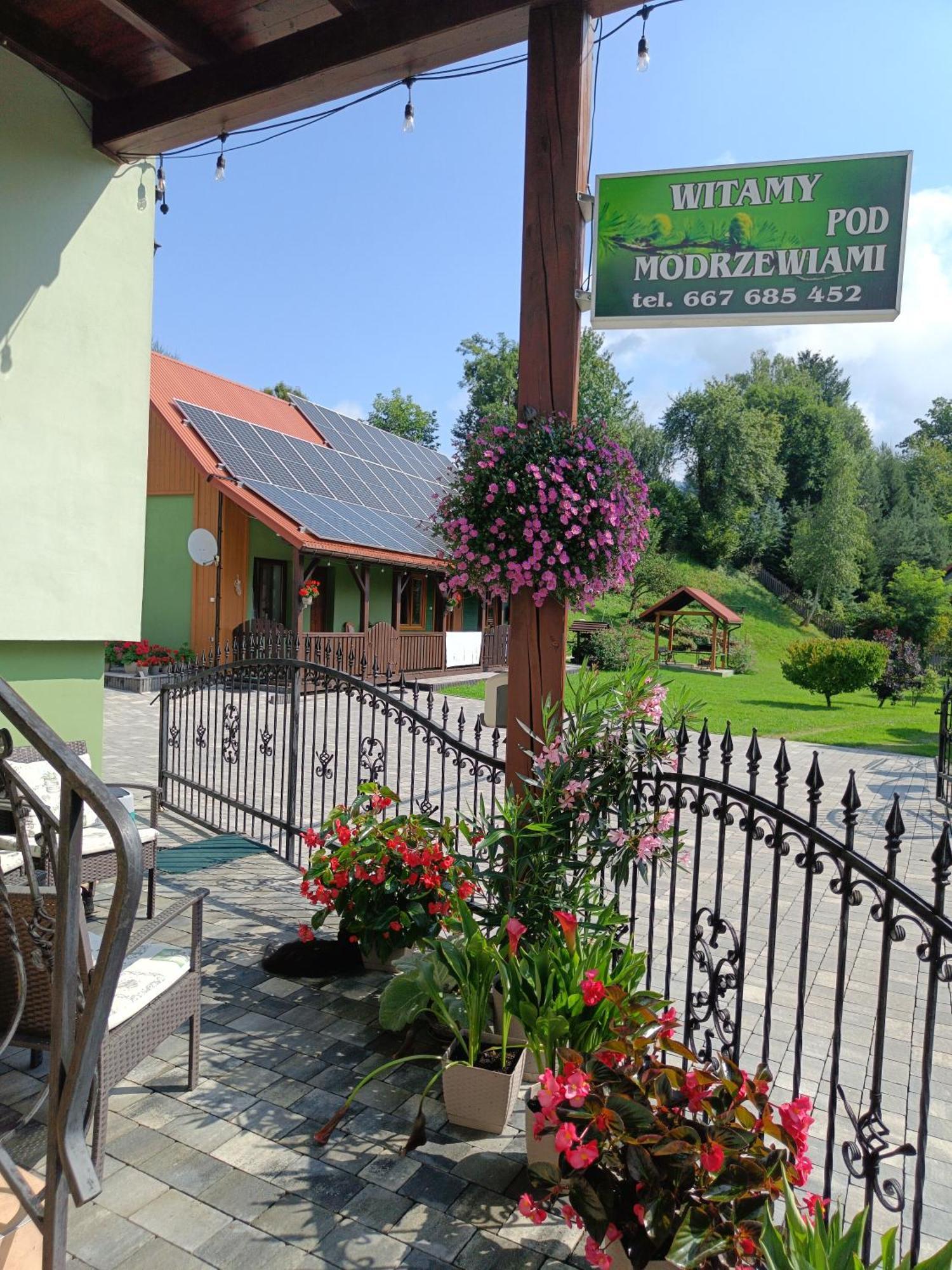 Pod Modrzewiami Appartement Milówka Buitenkant foto