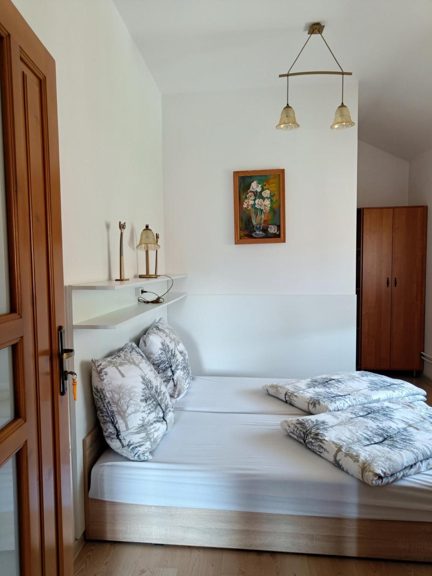 Pod Modrzewiami Appartement Milówka Buitenkant foto
